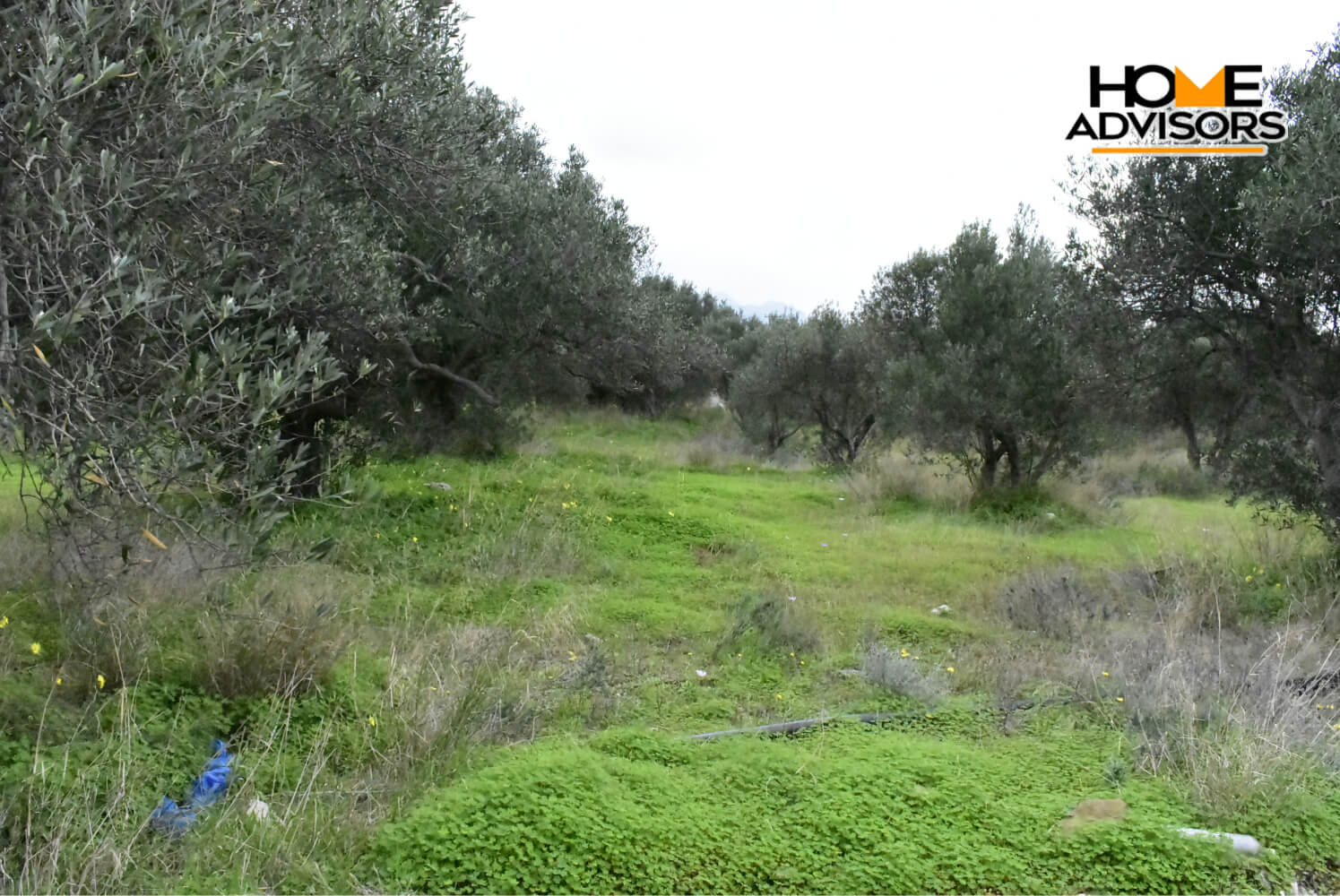 4200 sqm plot in the area of Monastiraki | Crete