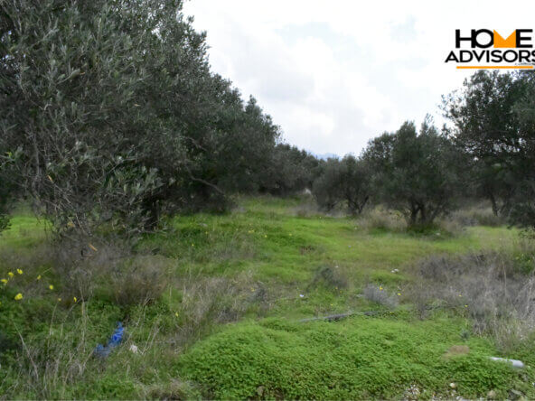 4200 sqm plot in the area of Monastiraki | Crete