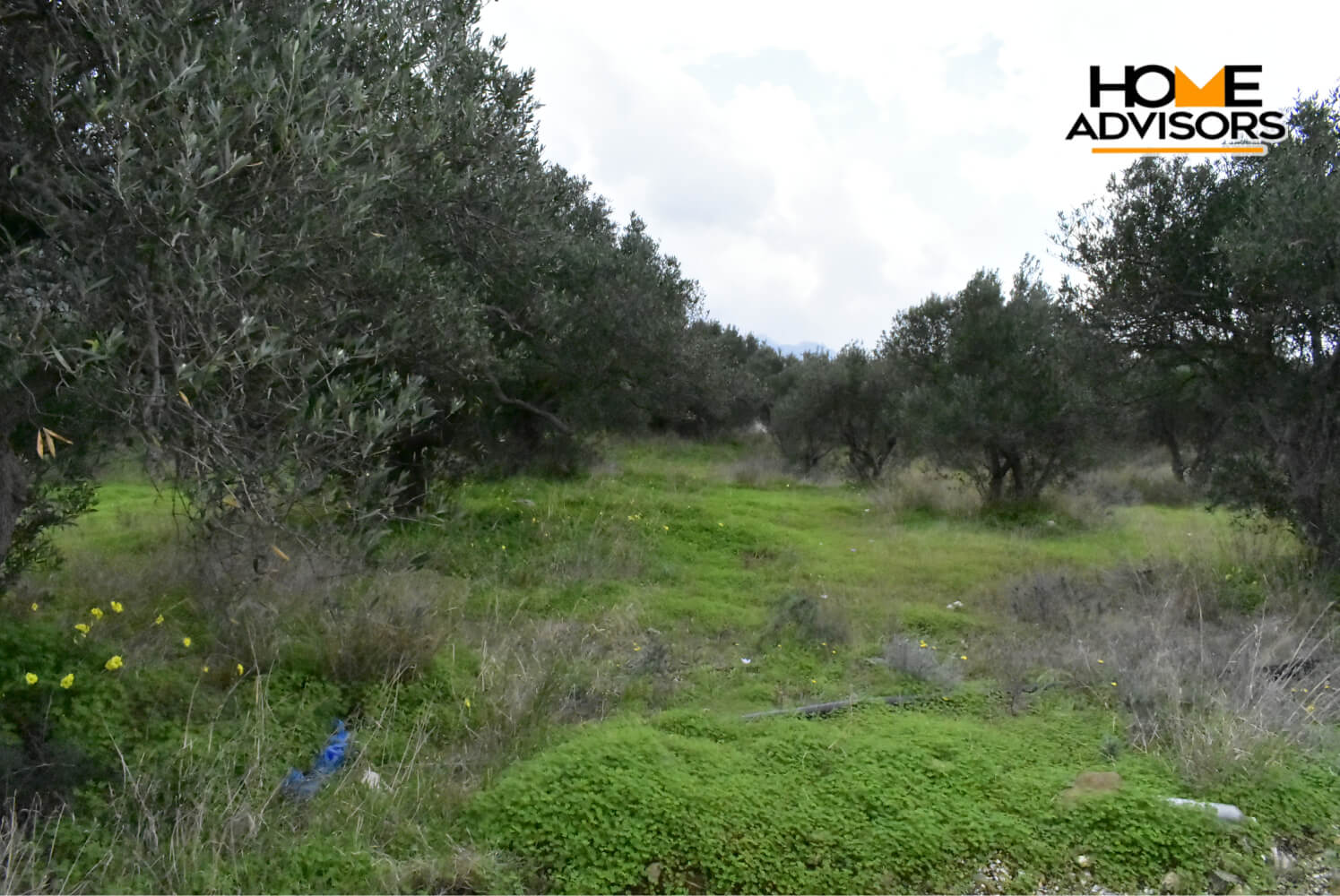 4200 sqm plot in the area of Monastiraki | Crete