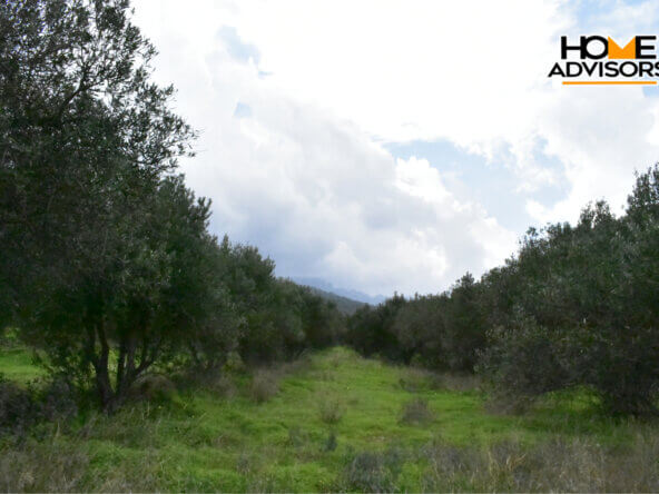 4200 sqm plot in the area of Monastiraki | Crete