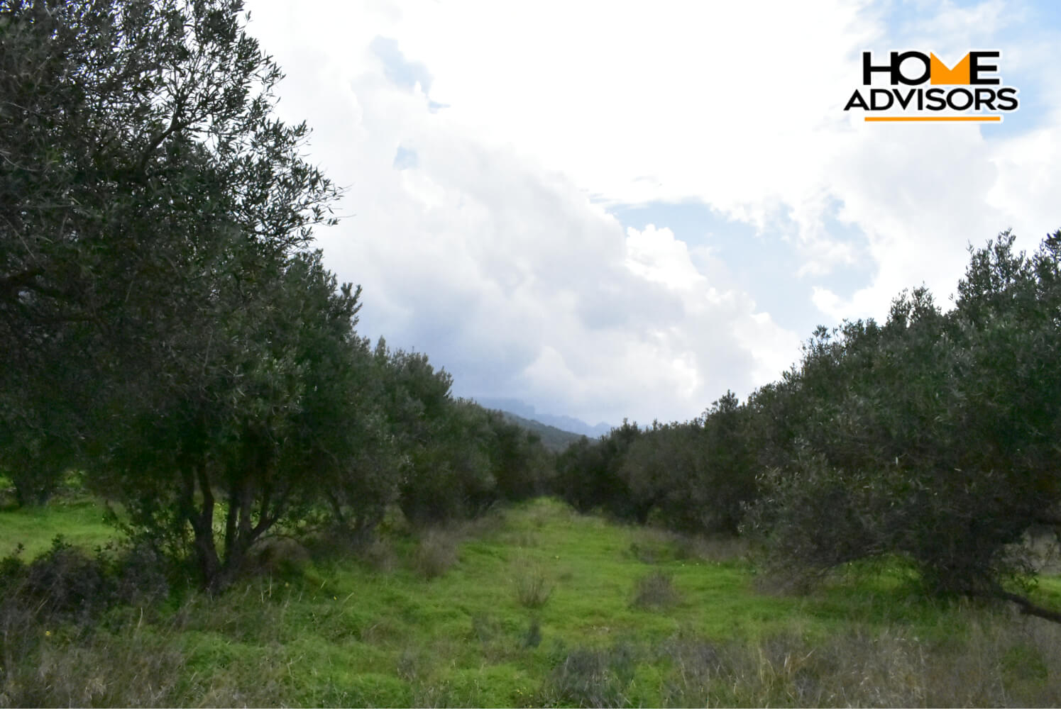 4200 sqm plot in the area of Monastiraki | Crete