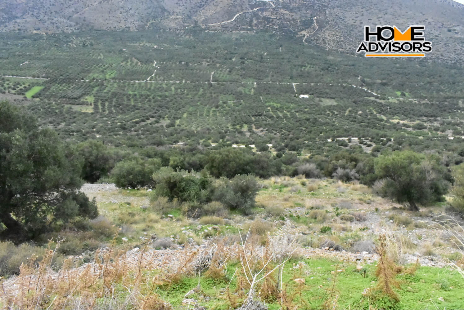 4000 sqm plot near the village of Kavousi | Crete