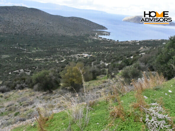 4000 sqm plot near the village of Kavousi | Crete