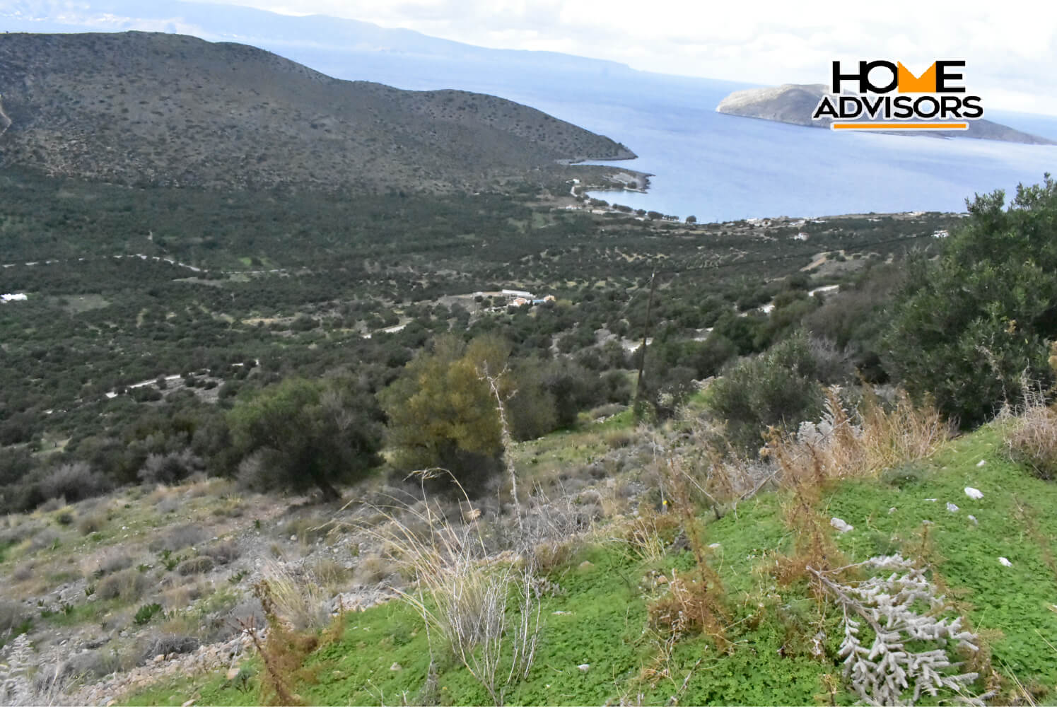 4000 sqm plot near the village of Kavousi | Crete