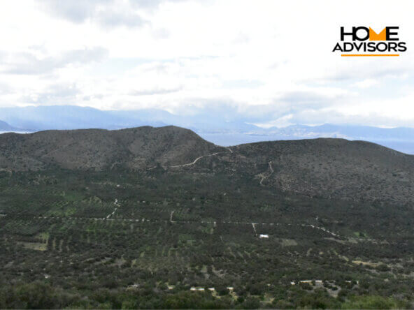 4000 sqm plot near the village of Kavousi | Crete