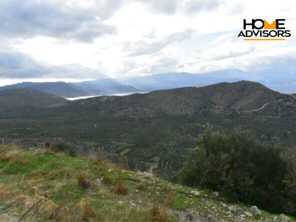 4000 sqm plot near the village of Kavousi | Crete