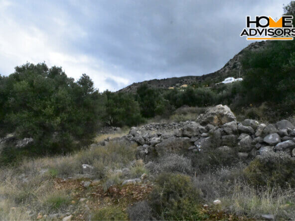 6000 sqm plot near the village of Kavousi
