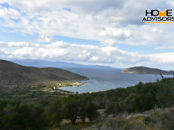 6000 sqm plot near the village of Kavousi