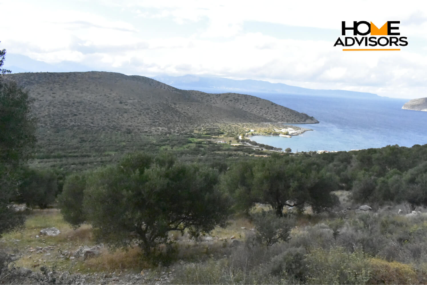 6000 sqm plot near the village of Kavousi