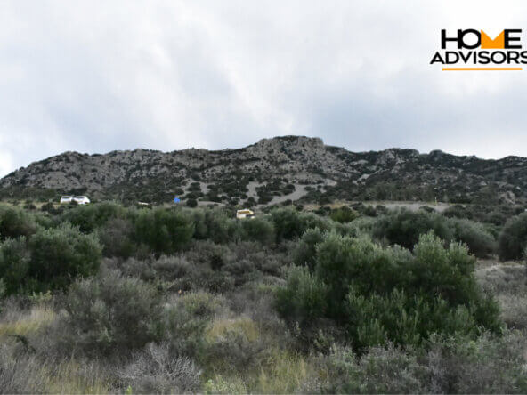 6000 sqm plot near the village of Kavousi
