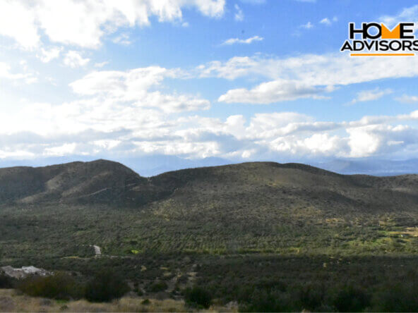 6000 sqm plot near the village of Kavousi
