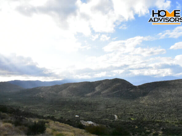 6000 sqm plot near the village of Kavousi