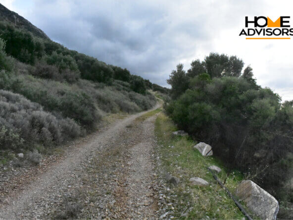 6000 sqm plot near the village of Kavousi