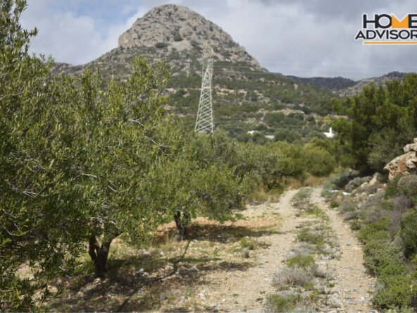 HZ-176- 5100 sqm plot in the village of ferma