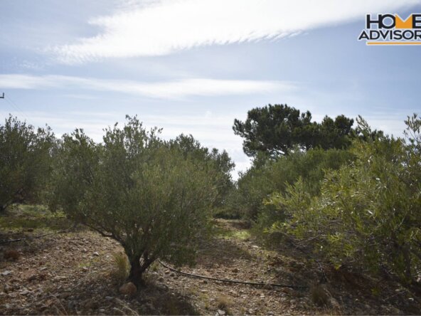 HZ-176- 5100 sqm plot in the village of ferma