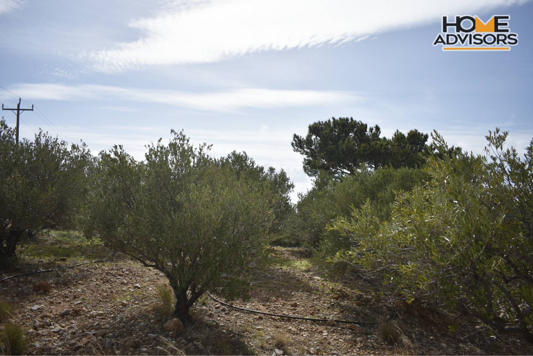 HZ-176- 5100 sqm plot in the village of ferma