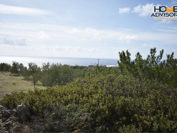 HZ-176- 5100 sqm plot in the village of ferma