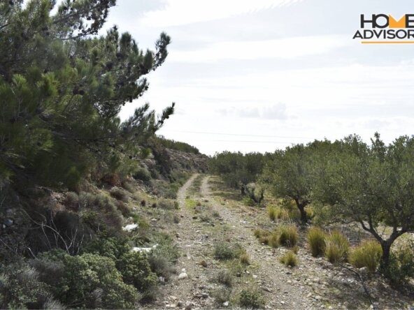 HZ-176- 5100 sqm plot in the village of ferma