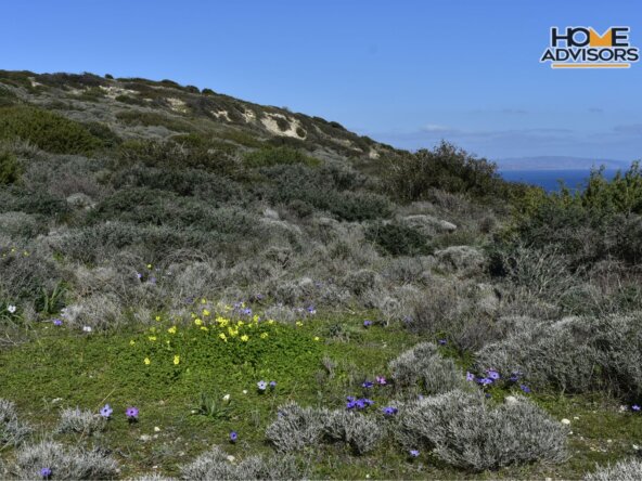 ΗΖ-177-33000 SQM PLOT IN PAHIA AMMOS