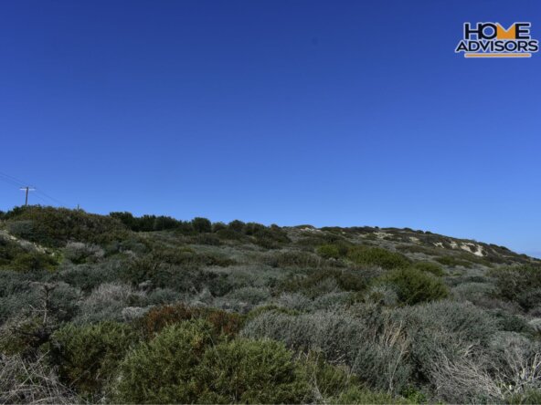 ΗΖ-177-33000 SQM PLOT IN PAHIA AMMOS