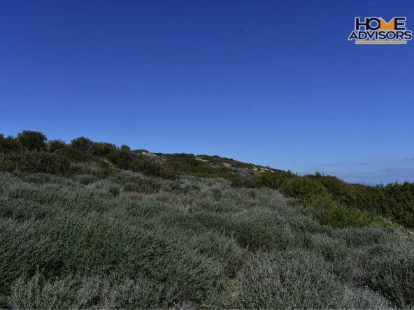 ΗΖ-177-33000 SQM PLOT IN PAHIA AMMOS
