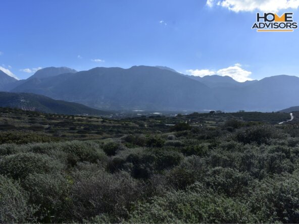 ΗΖ-177-33000 SQM PLOT IN PAHIA AMMOS