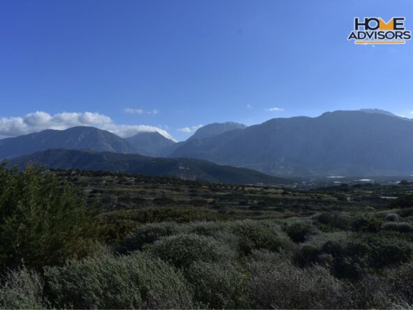 ΗΖ-177-33000 SQM PLOT IN PAHIA AMMOS