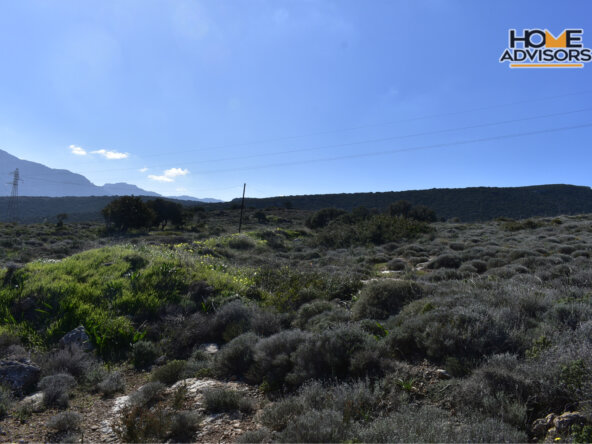 11000 sqm plot in Pahia Ammos