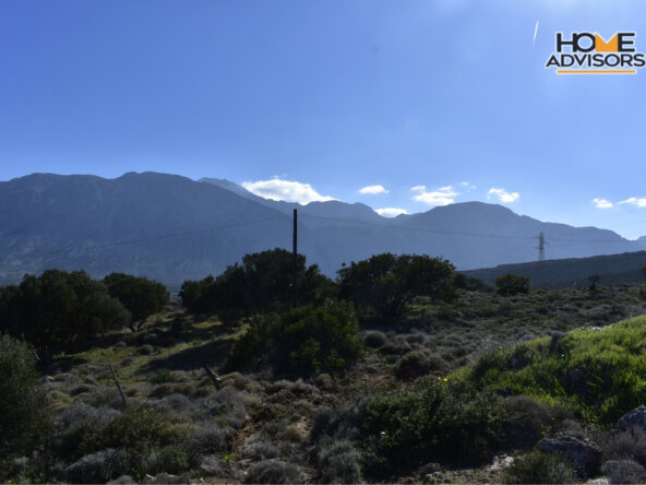 11000 sqm plot in Pahia Ammos