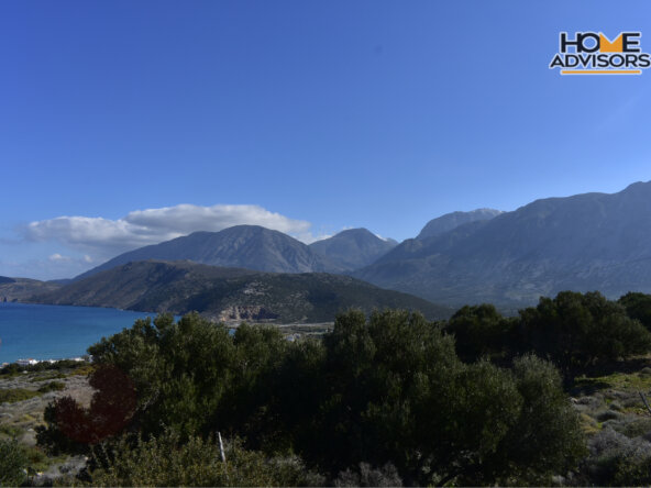 11000 sqm plot in Pahia Ammos