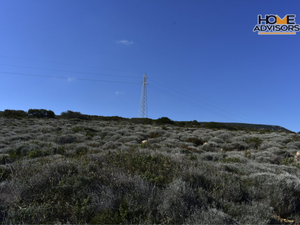 11000 sqm plot in Pahia Ammos