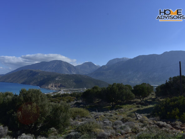 11000 sqm plot in Pahia Ammos