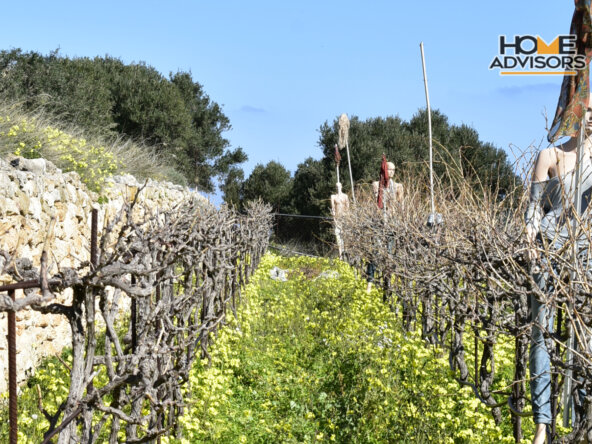 4000 sqm, seaview, plot in the village of Pahia Ammos