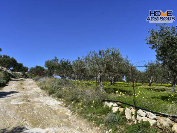 4000 sqm, seaview, plot in the village of Pahia Ammos