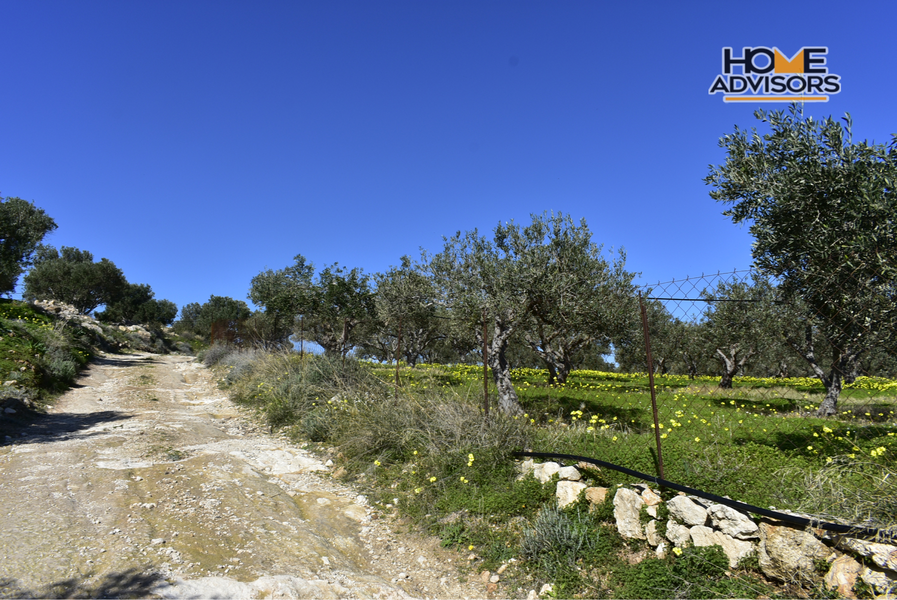 4000 sqm, seaview, plot in the village of Pahia Ammos