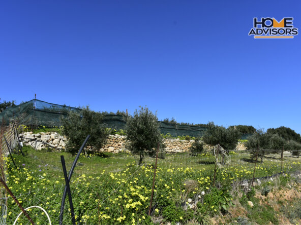 4000 sqm, seaview, plot in the village of Pahia Ammos