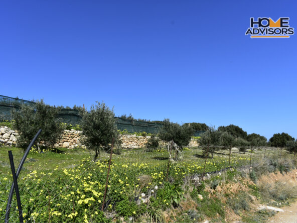 4000 sqm, seaview, plot in the village of Pahia Ammos