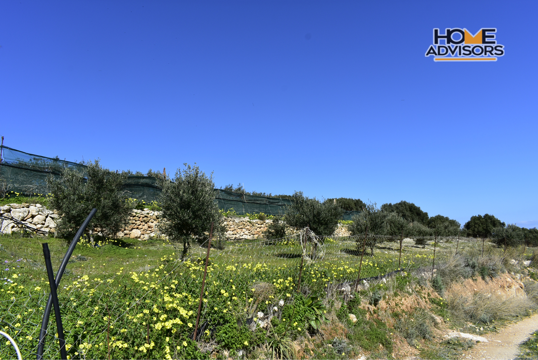 4000 sqm, seaview, plot in the village of Pahia Ammos