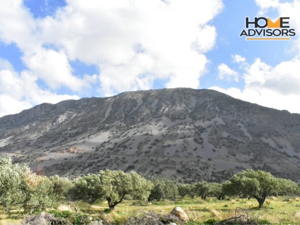 4500 sqm plot near the village of Kavousi | Crete