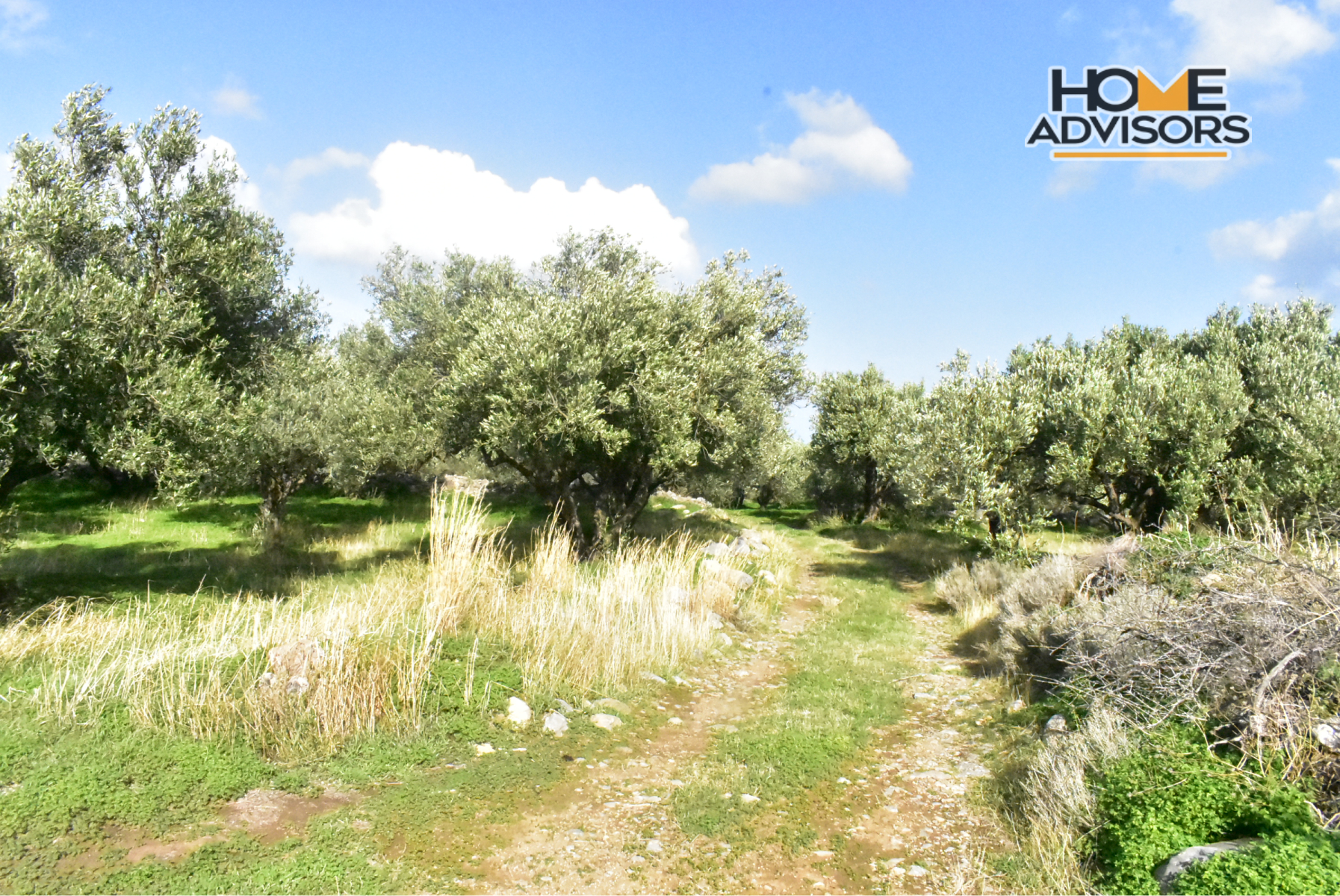 4500 sqm plot near the village of Kavousi | Crete