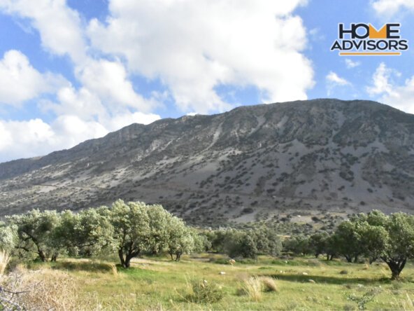 4500 sqm plot near the village of Kavousi | Crete