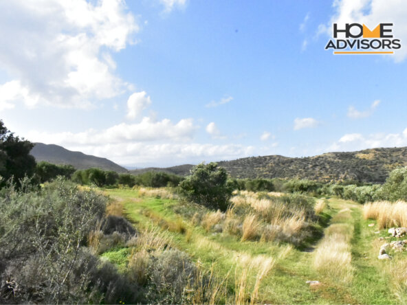 4500 sqm plot near the village of Kavousi | Crete