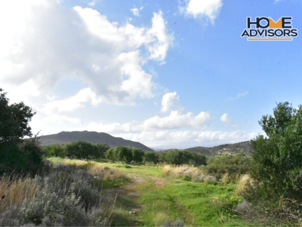 4500 sqm plot near the village of Kavousi | Crete