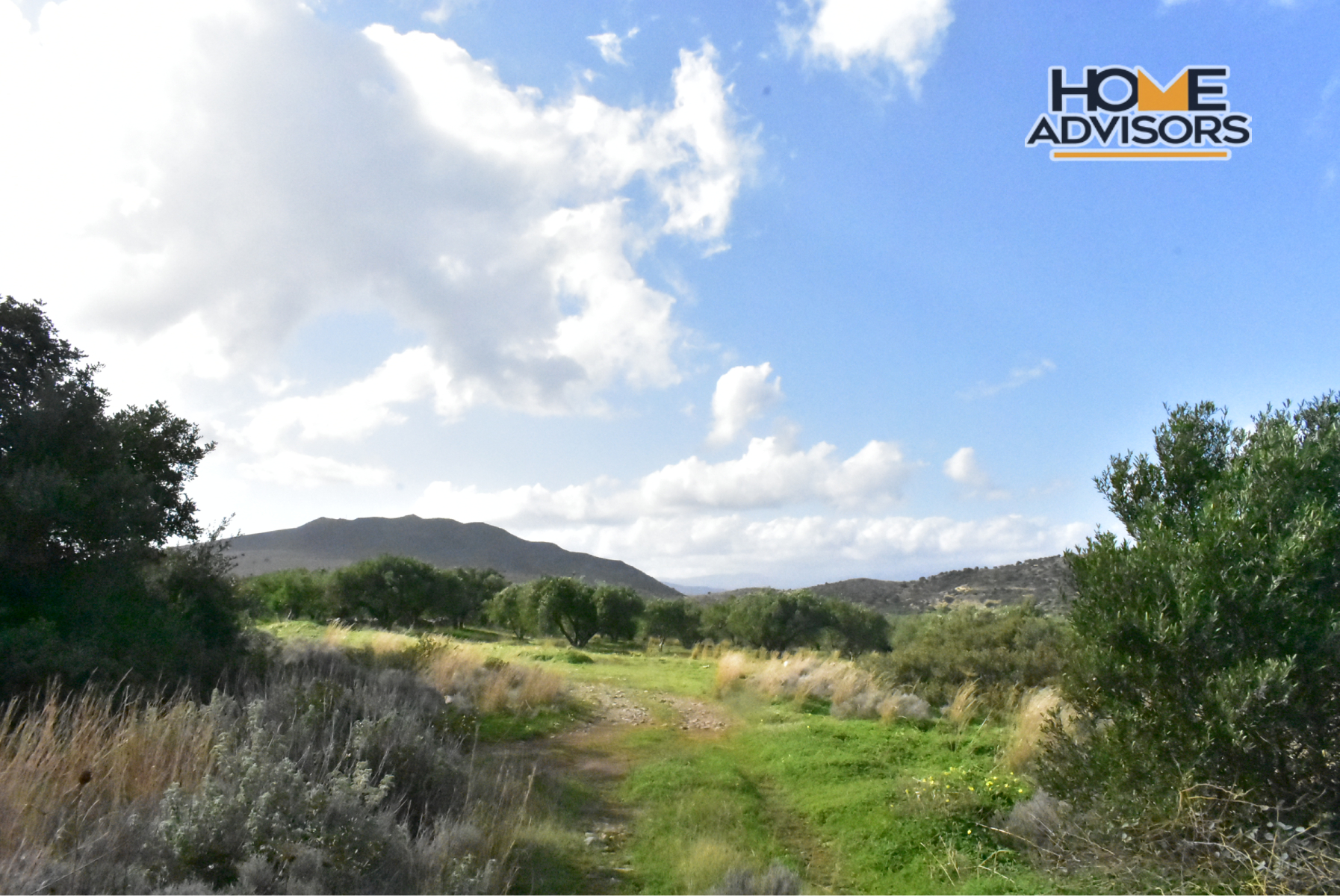 4500 sqm plot near the village of Kavousi | Crete