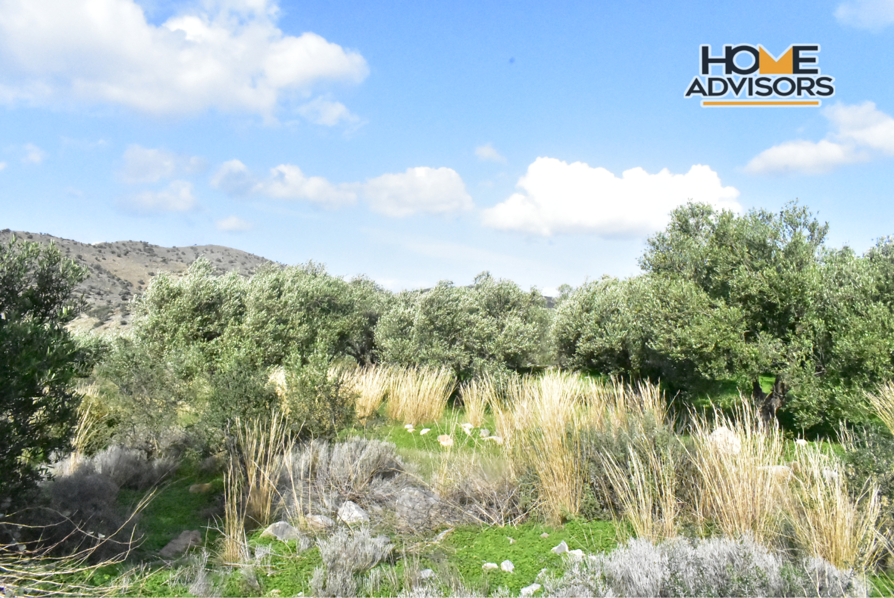 4500 sqm plot near the village of Kavousi | Crete