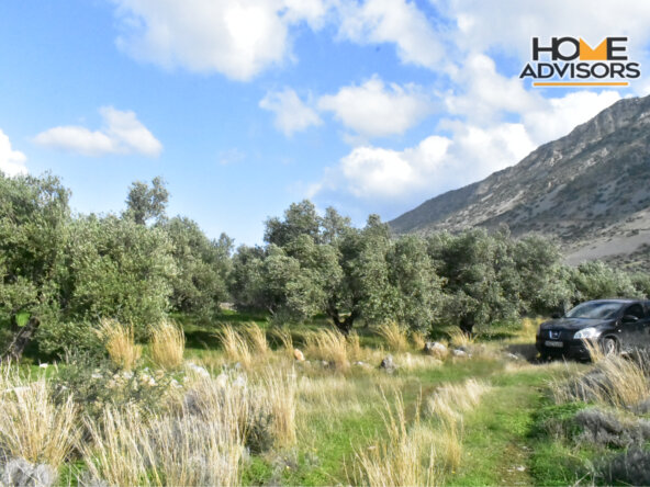 4500 sqm plot near the village of Kavousi | Crete