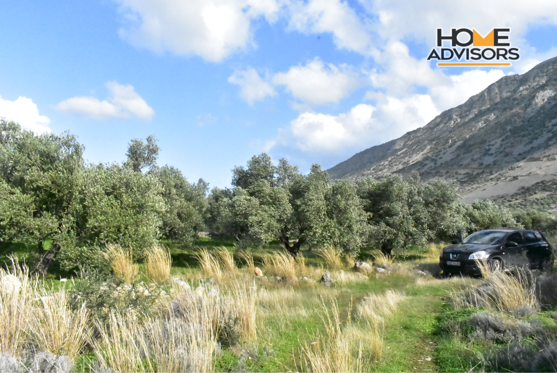 4500 sqm plot near the village of Kavousi | Crete