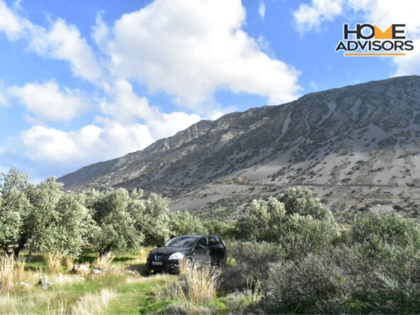 4500 sqm plot near the village of Kavousi | Crete