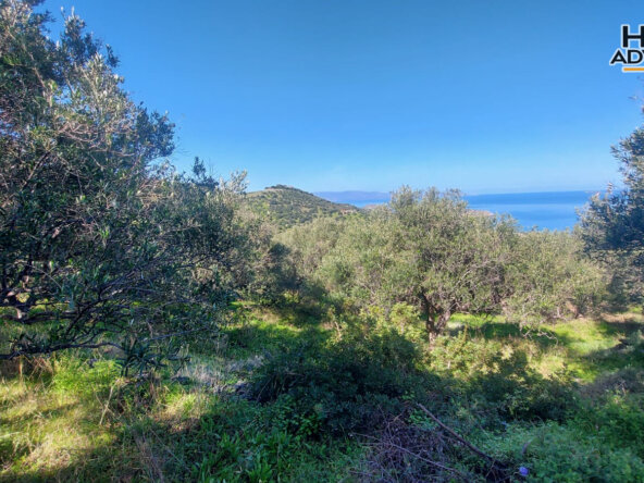 9360 sqm plot near the Village of Sfaka | Crete