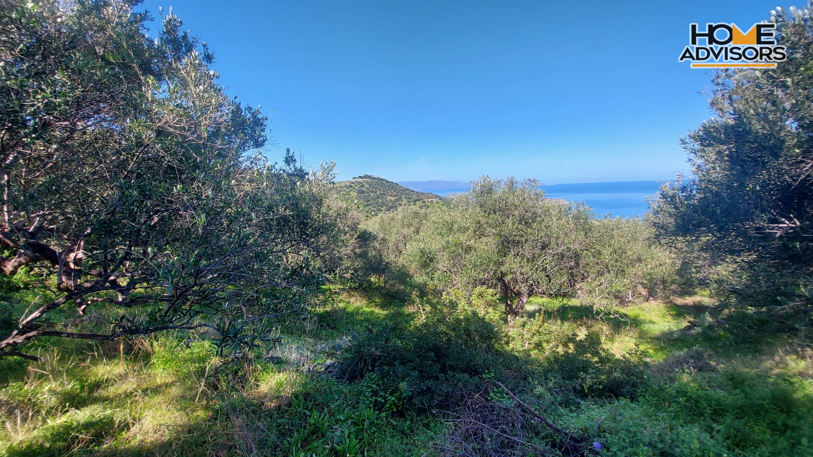 9360 sqm plot near the Village of Sfaka | Crete